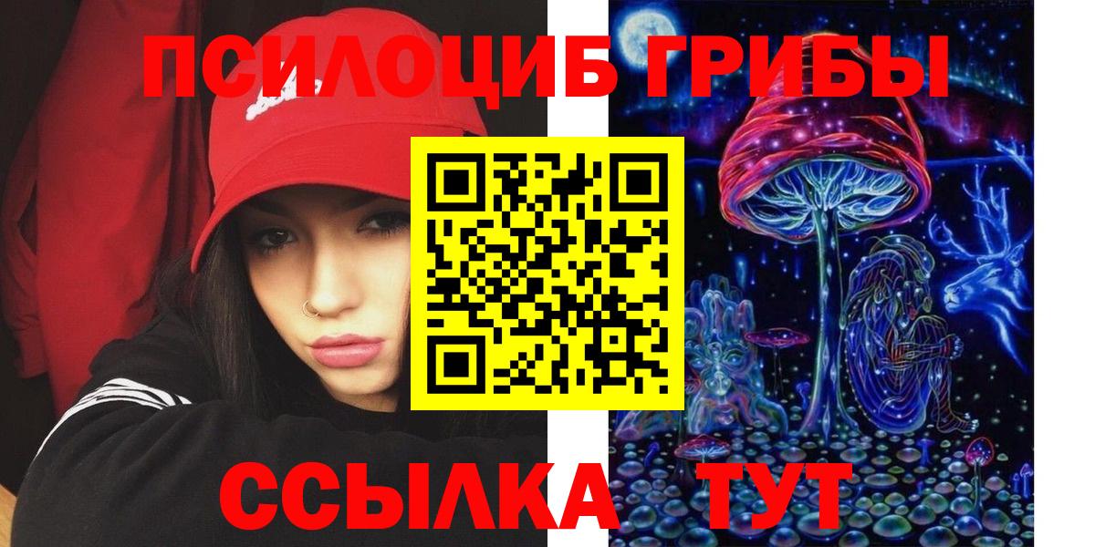 Псилоцибиновые грибы Psilocybine cubensis Тобольск