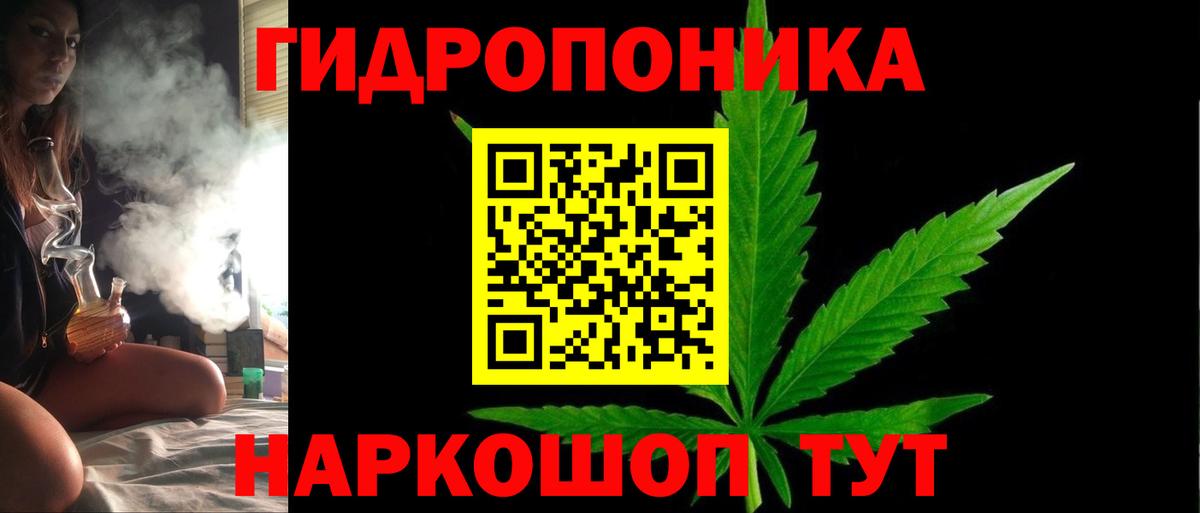 МАРИХУАНА сатива Тобольск